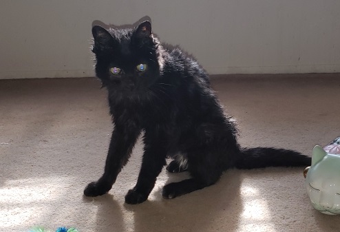 living heaven on earth